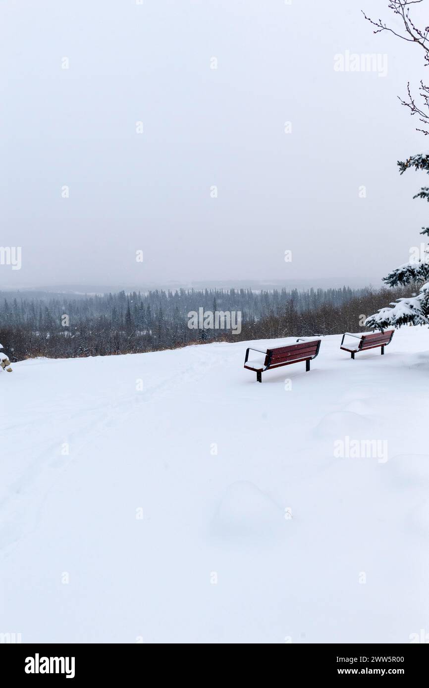 Parkbänke in einer Winterlandschaft, Glenmore Reservoir Park, Calgary Alberta Kanada Stockfoto