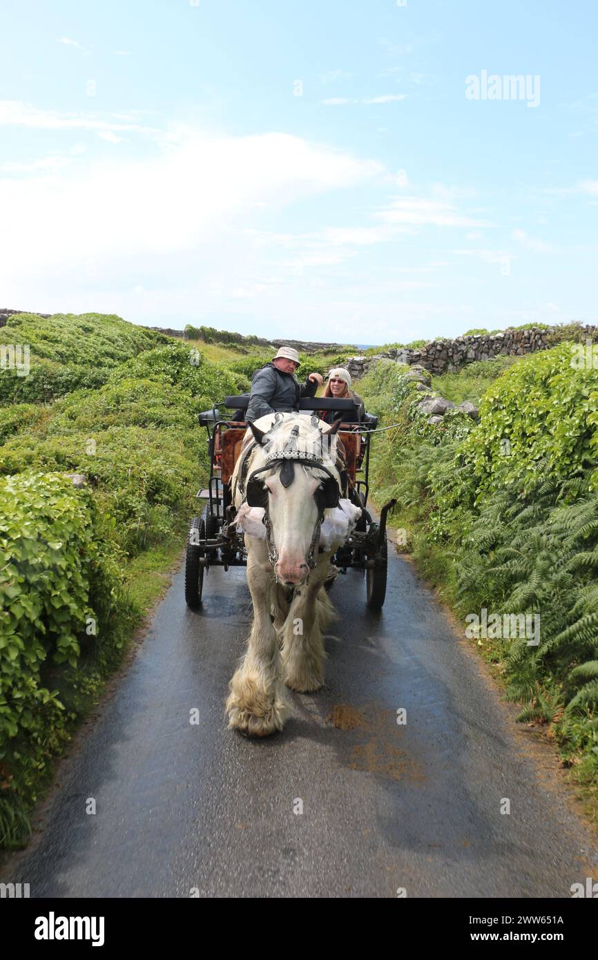 Touristen reiten auf einem Pferd, das auf den Aran-Inseln gezogen wird. Es ist eine beliebte Touristenaktivität, um durch Attraktionen zu reisen. Stockfoto