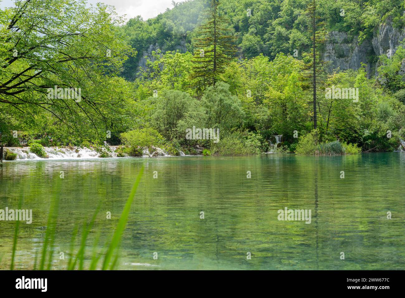 Grüner üppiger Wald am Rand eines ruhigen kleinen Sees im Nationalpark Plitvicer Seen in Kroatien.-HDR.dng Stockfoto