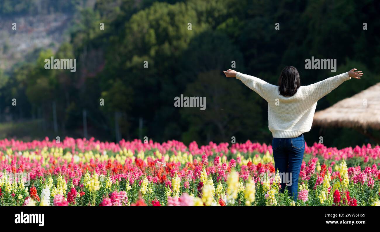 Asiatische Touristen machen Fotos in einem Blumengarten im Norden Thailands. Wunderschöner Blumengarten im Doi Ang Khang, Chiang Mai, Thailand. Stockfoto