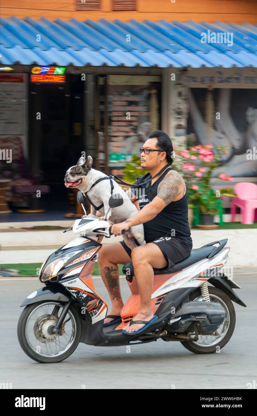 Mae Hong Son Provinz, Nord-Thailand, 10. April 2023: Ein seltsamer Anblick, vielleicht in westlichen Ländern. Aber in Asien ist das Motorrad eine beliebte Art und Weise Stockfoto
