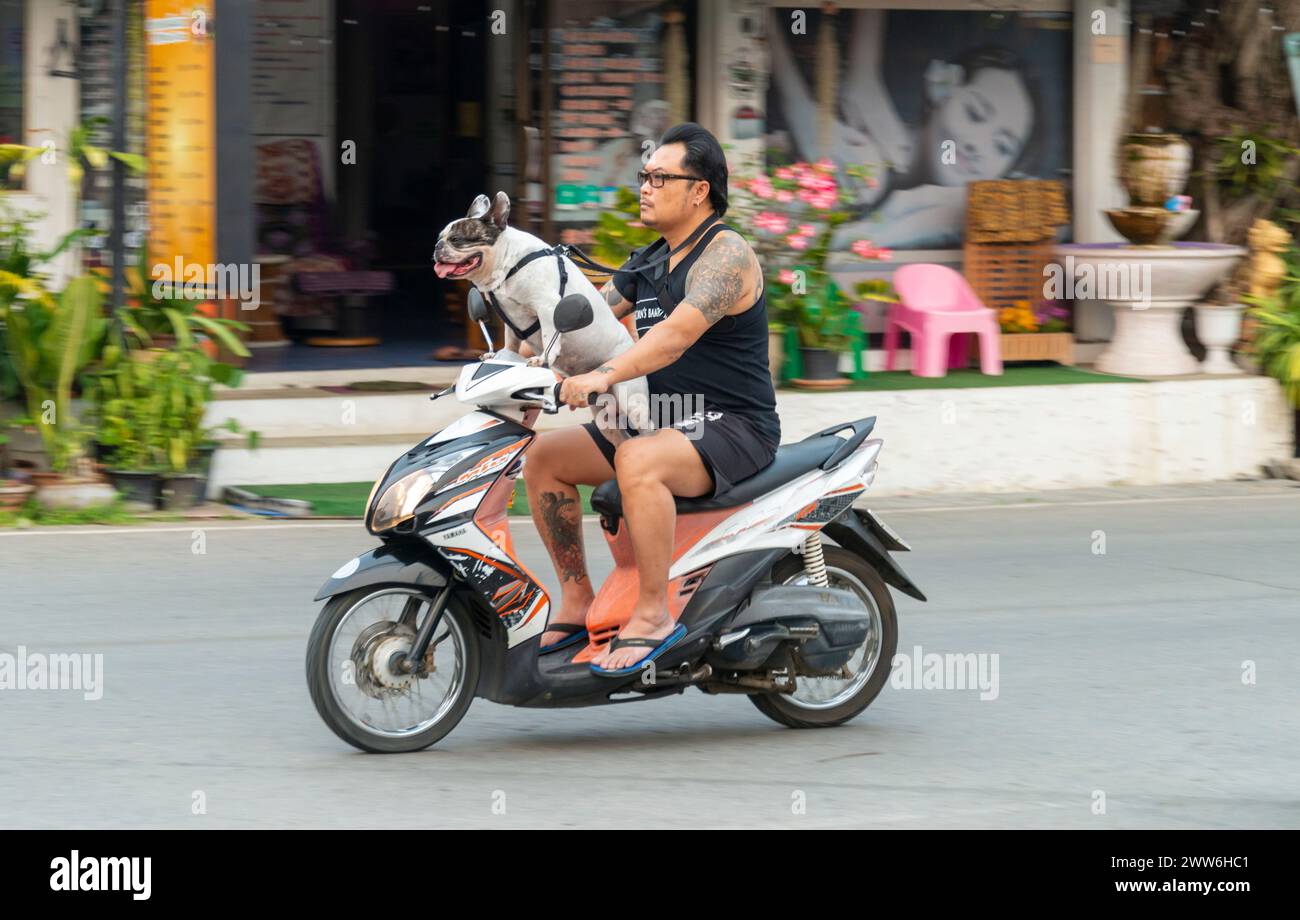 Mae Hong Son Provinz, Nord-Thailand, 10. April 2023: Ein seltsamer Anblick, vielleicht in westlichen Ländern. Aber in Asien ist das Motorrad eine beliebte Art und Weise Stockfoto