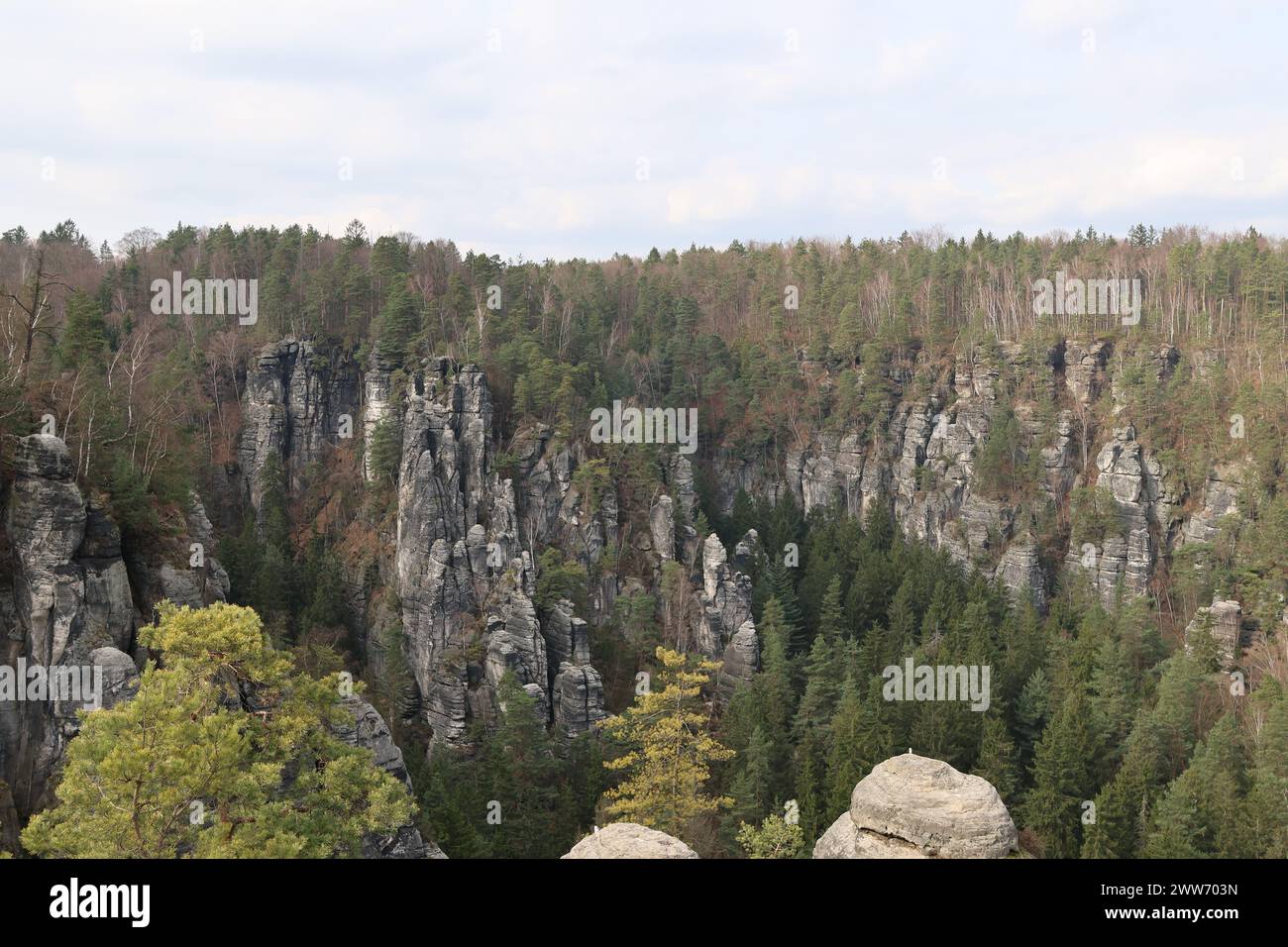 Die massiven Felsformationen umgeben von üppigen Bäumen. Bastei, Nationalpark Sächsische Schweiz Stockfoto