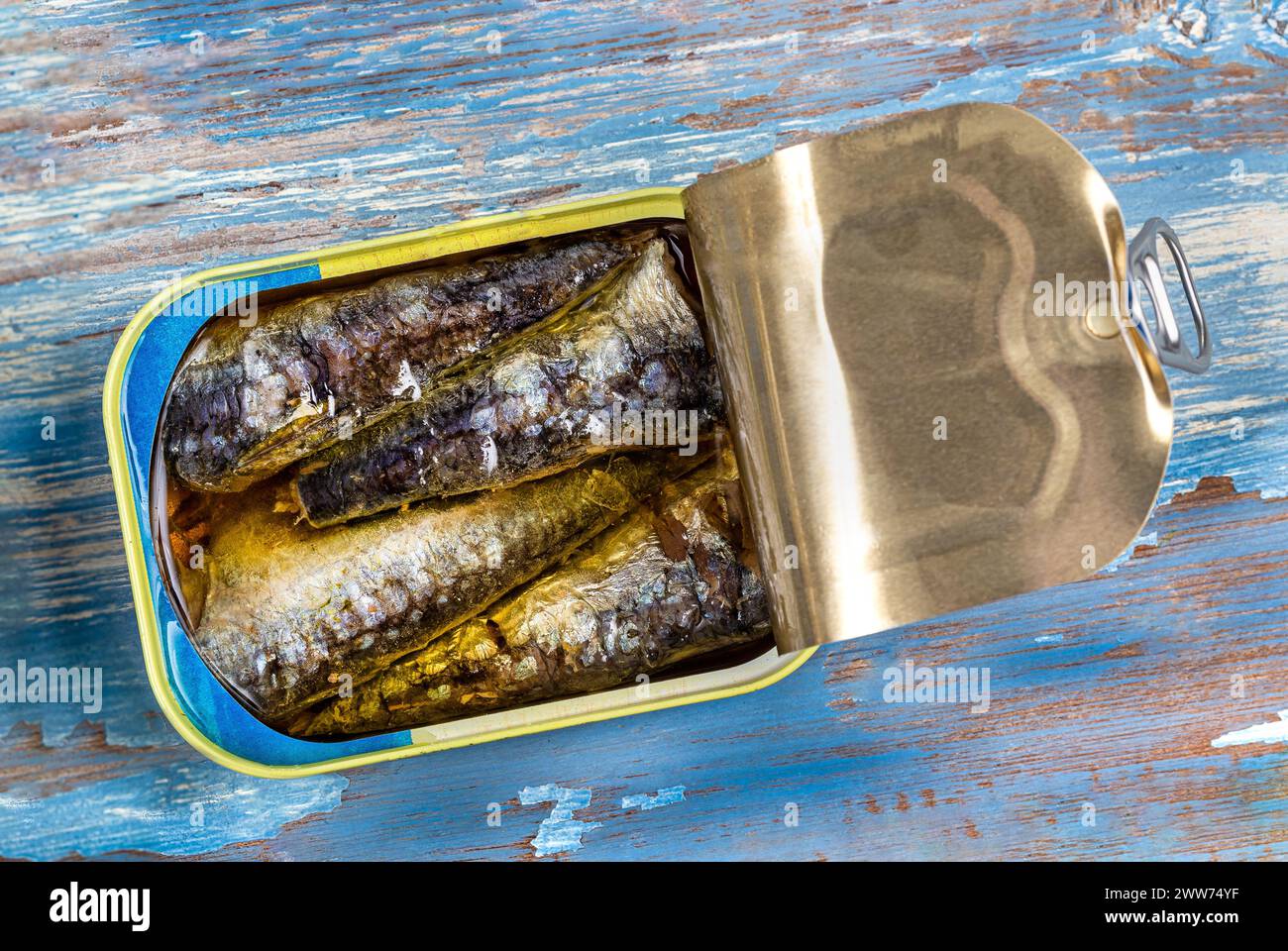 Dose Sardinen in Nahaufnahme auf blauem Hintergrund. Stockfoto