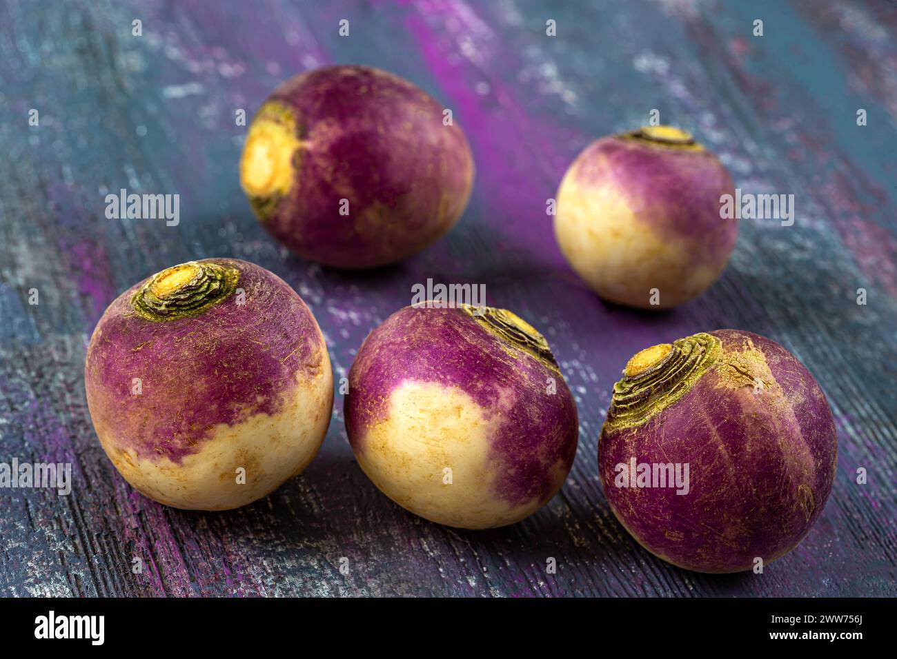 Rüben über dem Kopf - Töne auf Tönen. Stockfoto