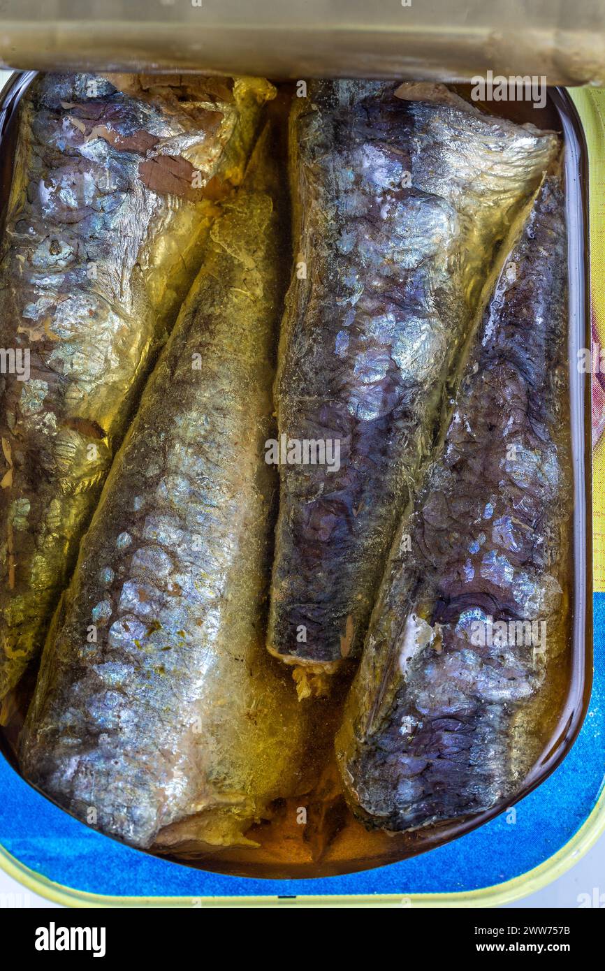 Fischsardine. Stockfoto