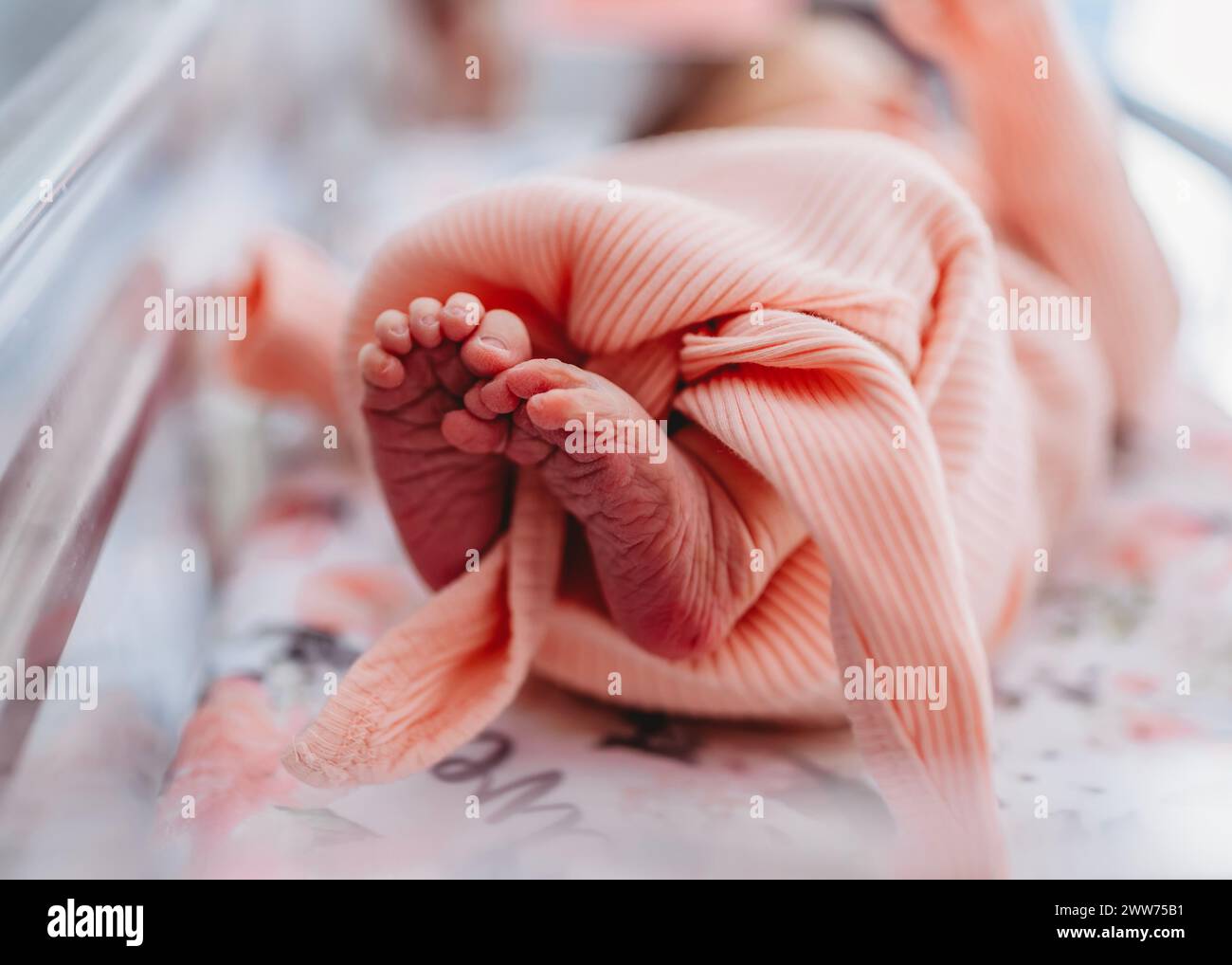 Nahaufnahme der kleinen Füße und Zehen des Neugeborenen Stockfoto
