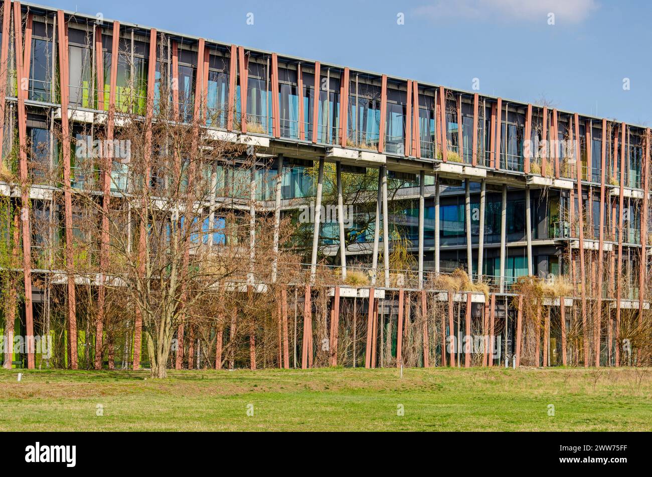 Berlin, 7. März 2024: Fassade mit geneigten Säulen eines Universitätsgebäudes im Stadtteil Adlershof Stockfoto