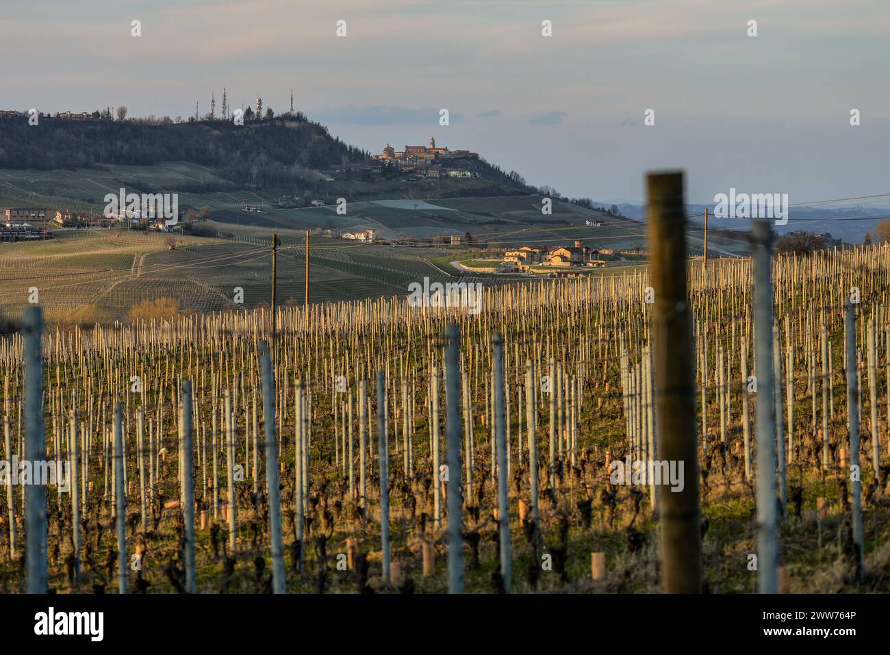 Paesaggio invernale, Langhe, Piemont, Italien Stockfoto