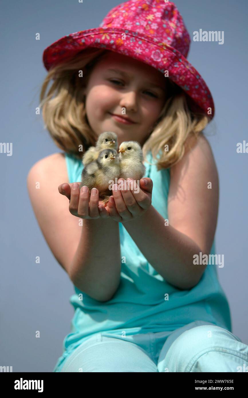 21/04/11. Heidi Leake (8) freut sich, drei Tage alte Cochin-Küken im Blackbrook Zoological Park in der Nähe von Leek, Staffordshire, zu halten... All Rights R Stockfoto