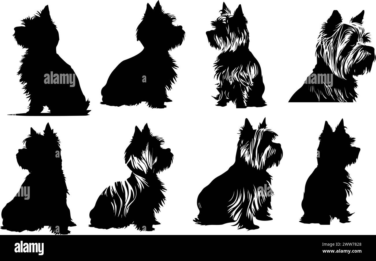 Yorkshire Terrier Dog Silhouette Bundle SVG. Datei ausschneiden Dog Vektor-Kunst Haustier Dog Dateien für Cricut, Silhouette anzeigen Stock Vektor