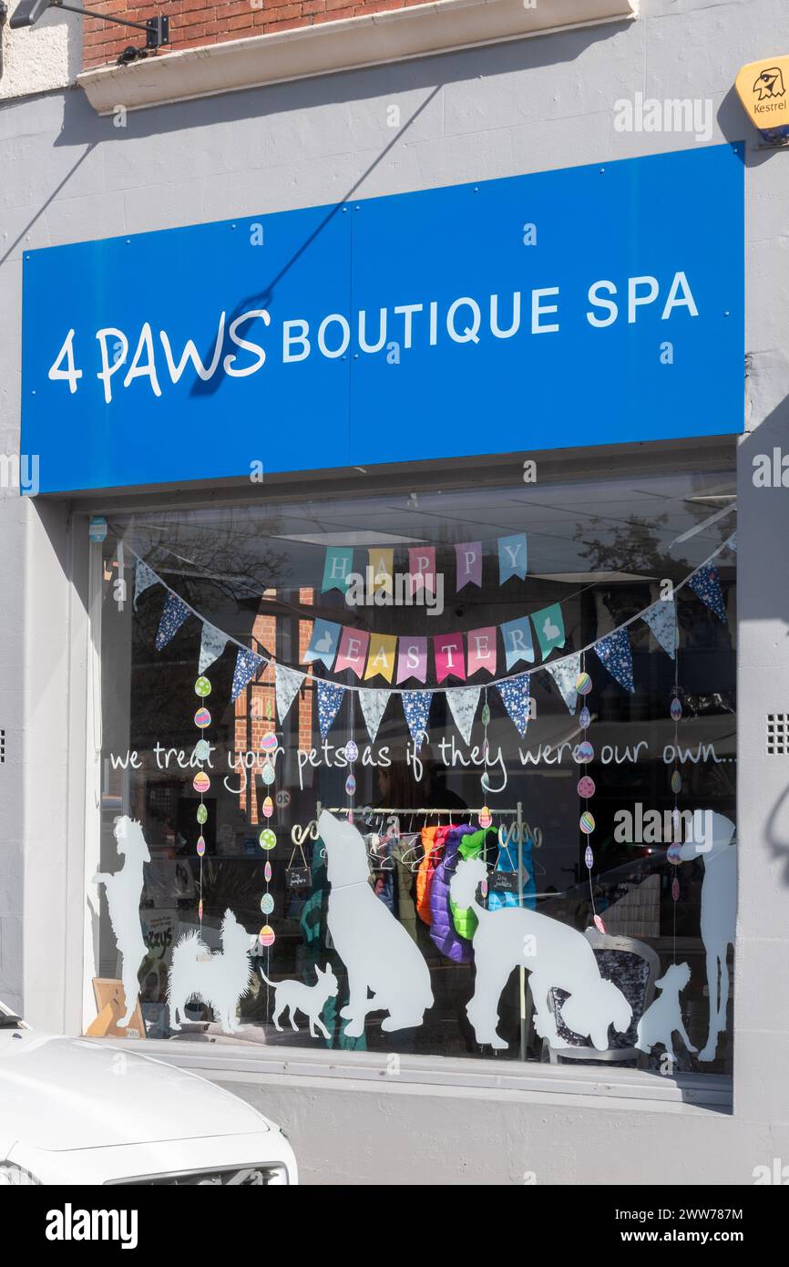 Hundepflege-Geschäft namens 4 Pfows Boutique Spa, England, Großbritannien, für Verwöhnung von Haustieren Hunde Stockfoto