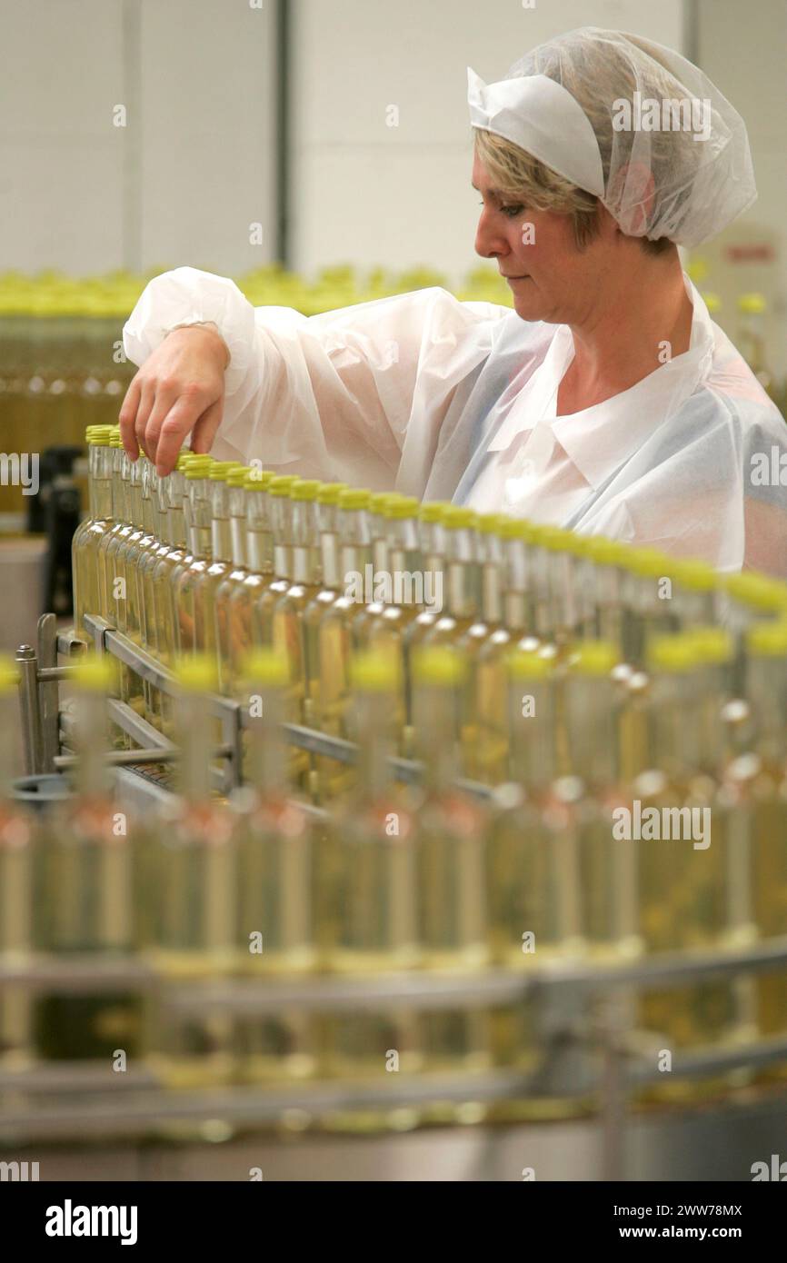 11.03.06.11...Abfüllung der heutigen Belvoir Holderflower Cordial...mit möglichen Verboten von Schläuchen und Dürre, die die Ernten beeinflussen, macht ein britischer Landwirt Heu Wi Stockfoto