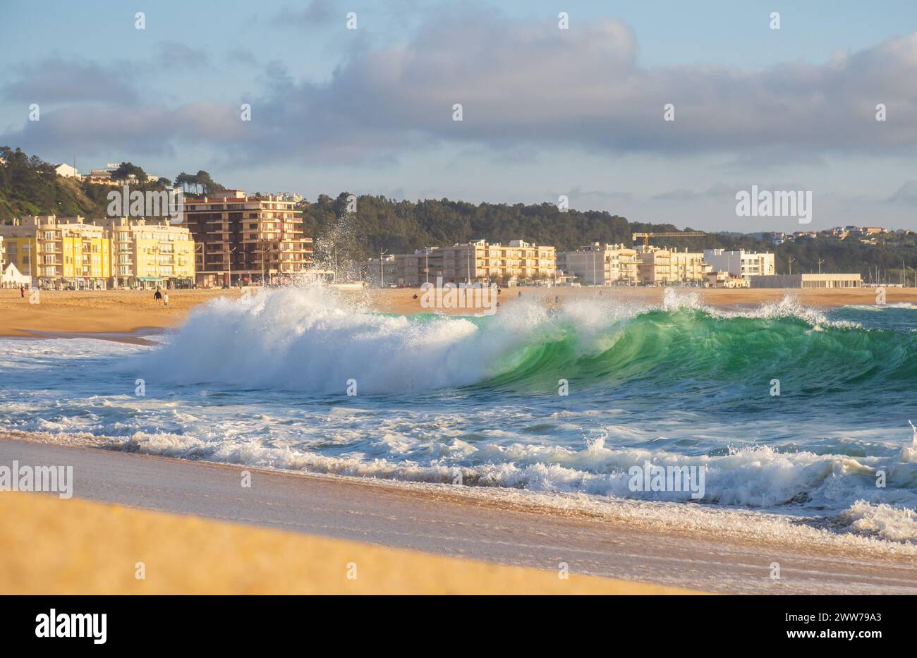Große Welle im Atlantik am Strand in Nazaré, Portugal. Stockfoto