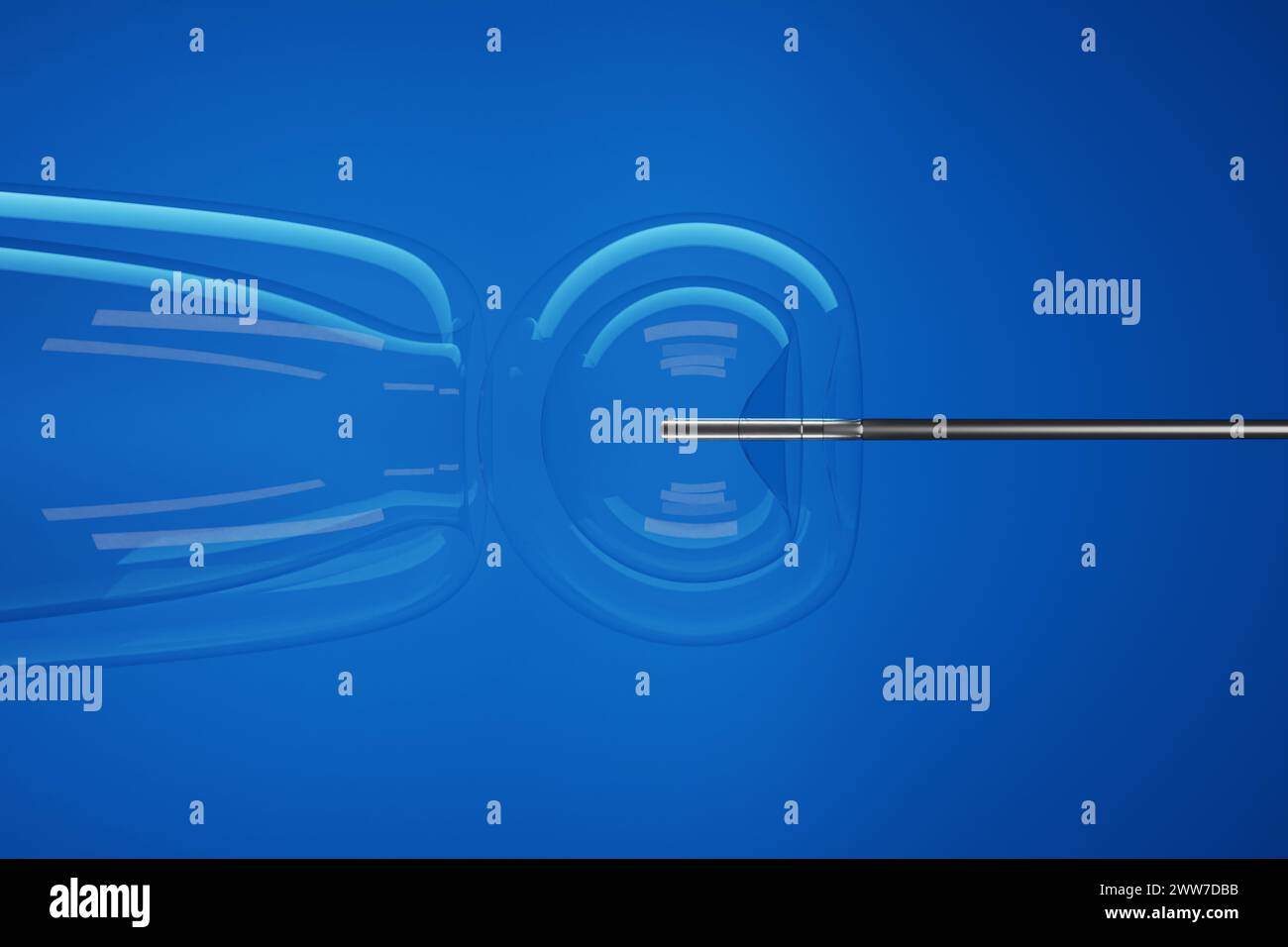 Injektion einer Stammzelle in einen transparenten Embryo durch eine silberne, scharfe Nadel auf blauem Hintergrund. Gezielte Mikroinjektion von embryonalen Stammzellen (es) Stockfoto