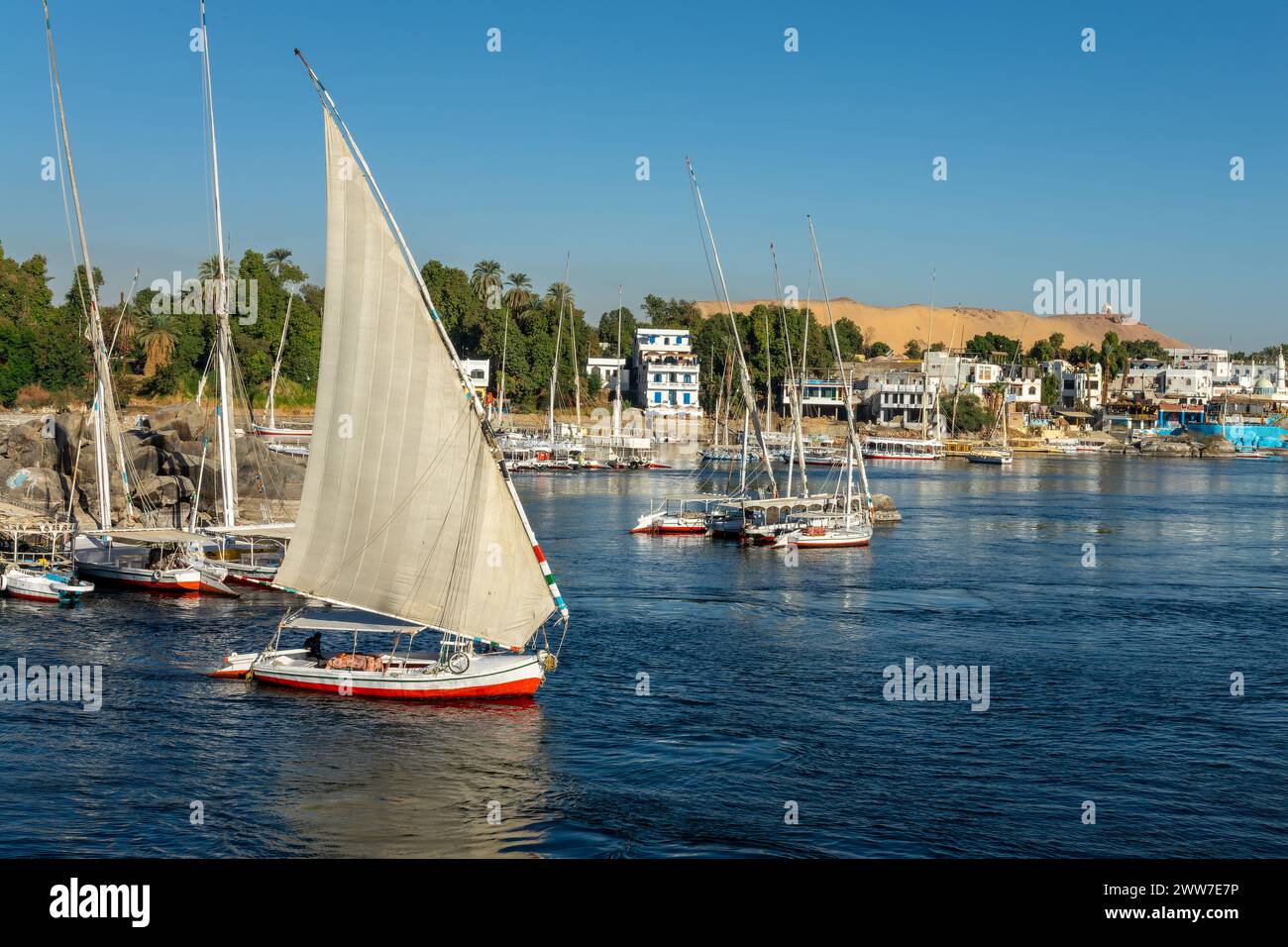 Felucca (traditionelles ägyptisches Segelboot) auf dem Nil in Assuan, Ägypten Stockfoto