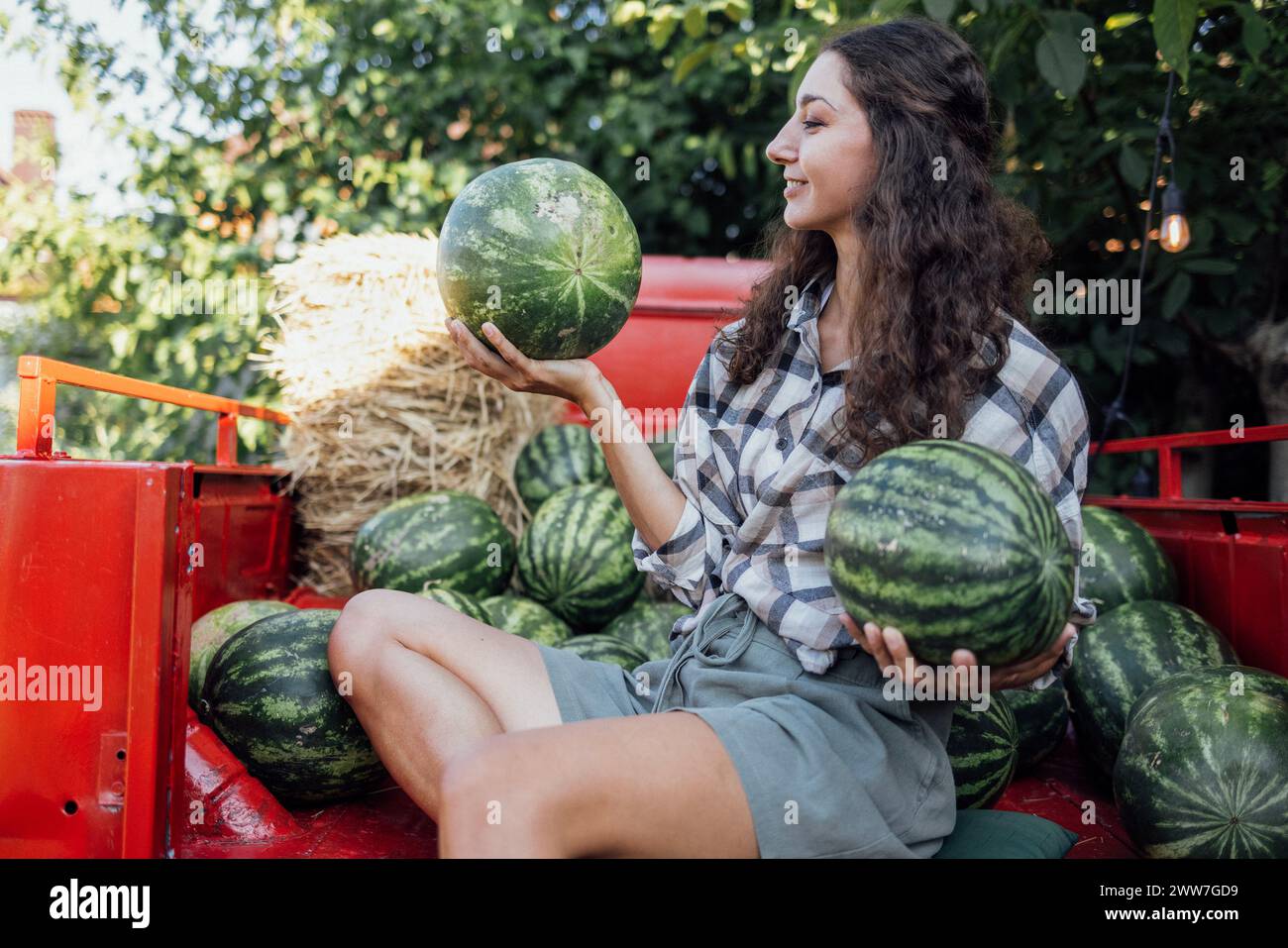 Charmante lächelnde Frau in lässigen Kleidern wirft Wassermelone draußen. Jungbauern mit lockigen Haaren sammeln frische, köstliche Beeren und Früchte. Ernte Stockfoto