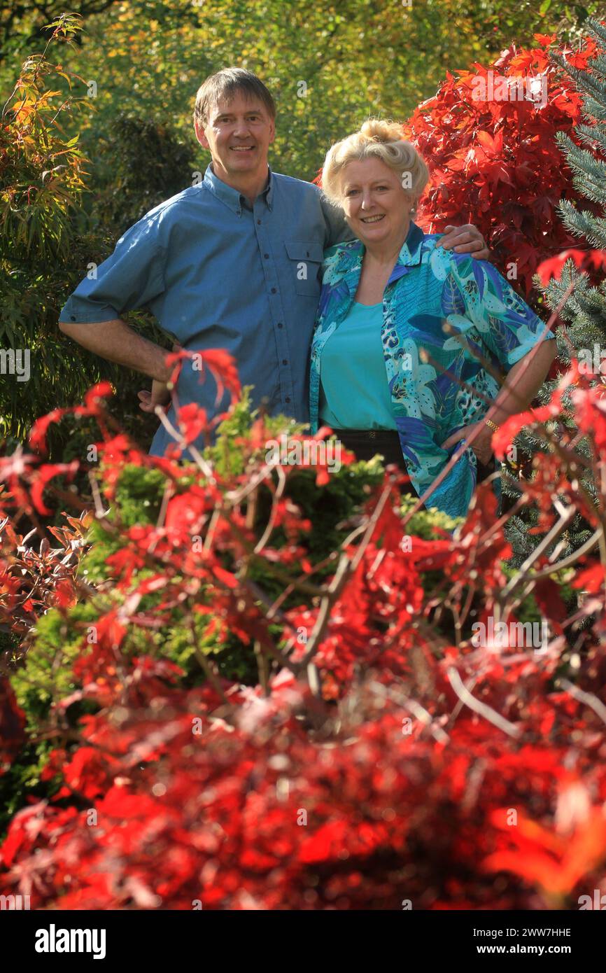 28/10/11 ..der pensionierte GP Tony Newton, 62 Jahre alt, und seine Frau Marie, 62 Jahre alt, ist von einem Kaleidoskop in Herbstfarbe in ihrem Garten in Walsall, West Midl, umgeben Stockfoto