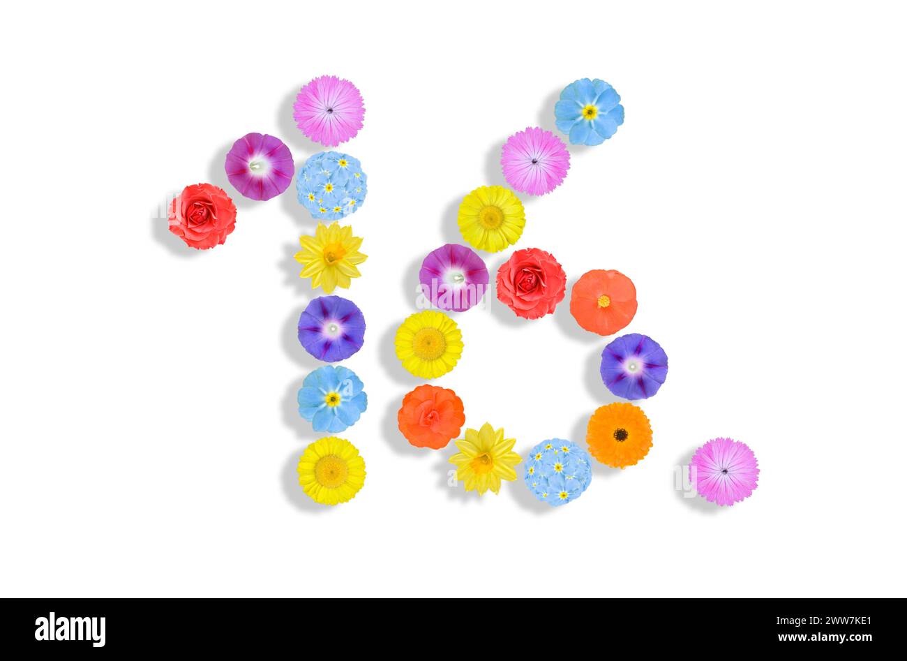 Zahlen mit Blumen geschrieben Stockfoto