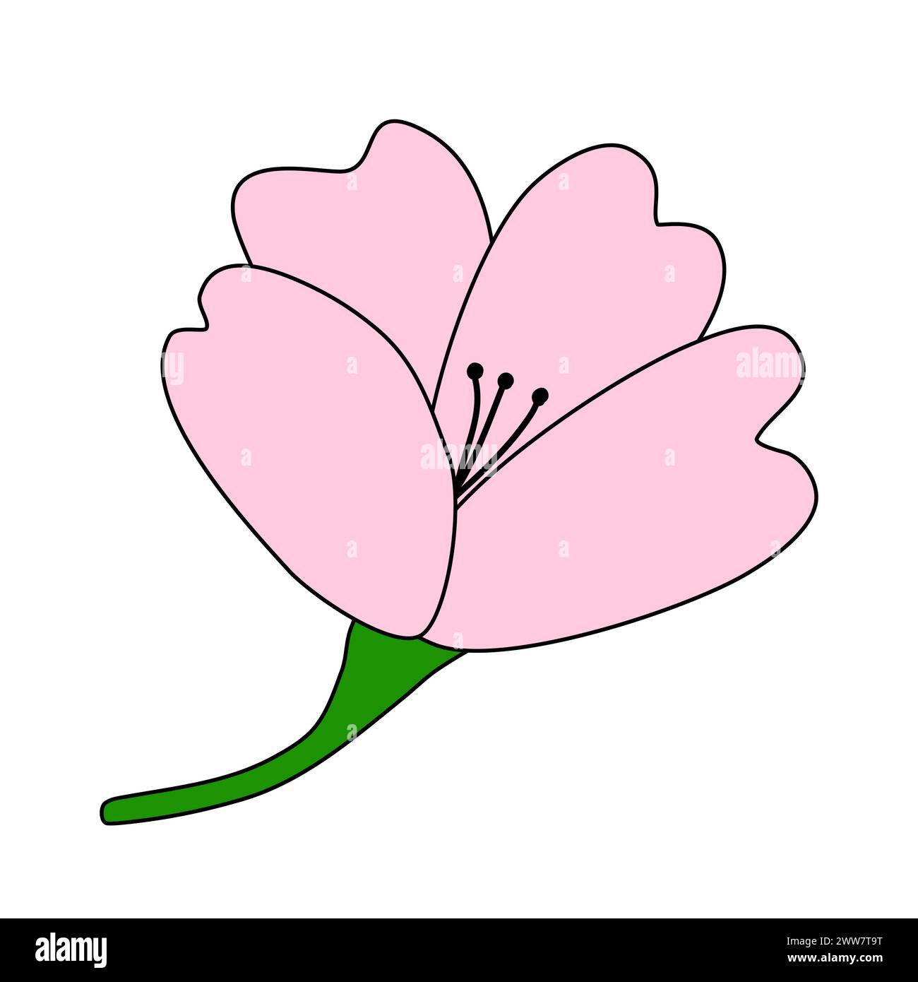 Blüte Kirsche oder Sakura rosa Blume, Seitenansicht, Frühling Design Element, Vektorillustration Stock Vektor