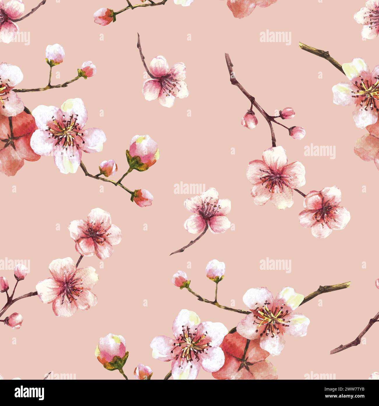 Aquarellblühender Zweig vom Baum, Sakura, Kirschknospen und Blumen nahtloses Muster Frühlingsblüten, Frühlingsaquarell bemalt Clipart für Stockfoto