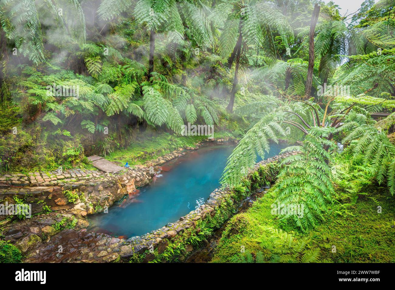 Entdecken Sie die ruhigen Caldeira Velha heißen Quellen, eingebettet in Sao Miguel üppige Farnhügel, die einen ruhigen Rückzugsort auf den Azoren bieten. Stockfoto