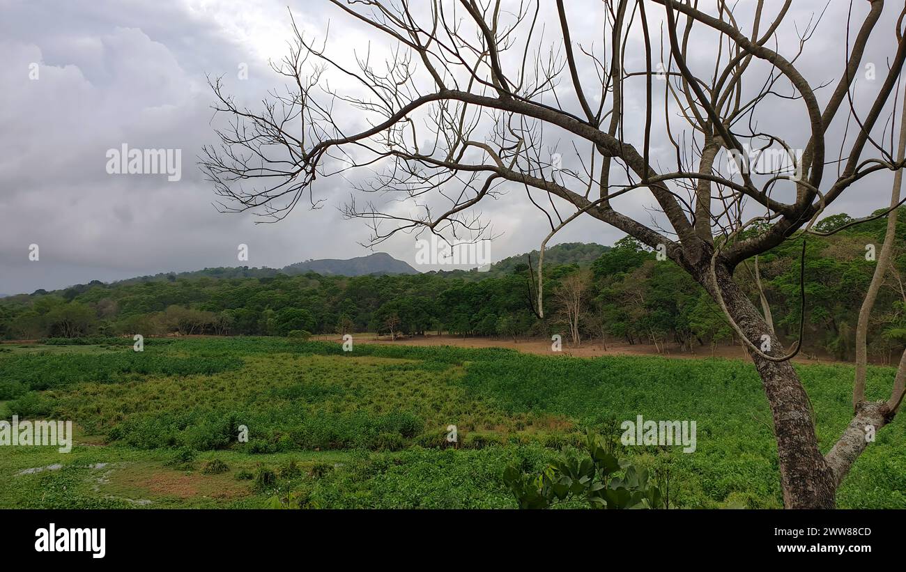 Wunderschöner Touristenort Parunthanpara Idukki Kerela Indien Stockfoto