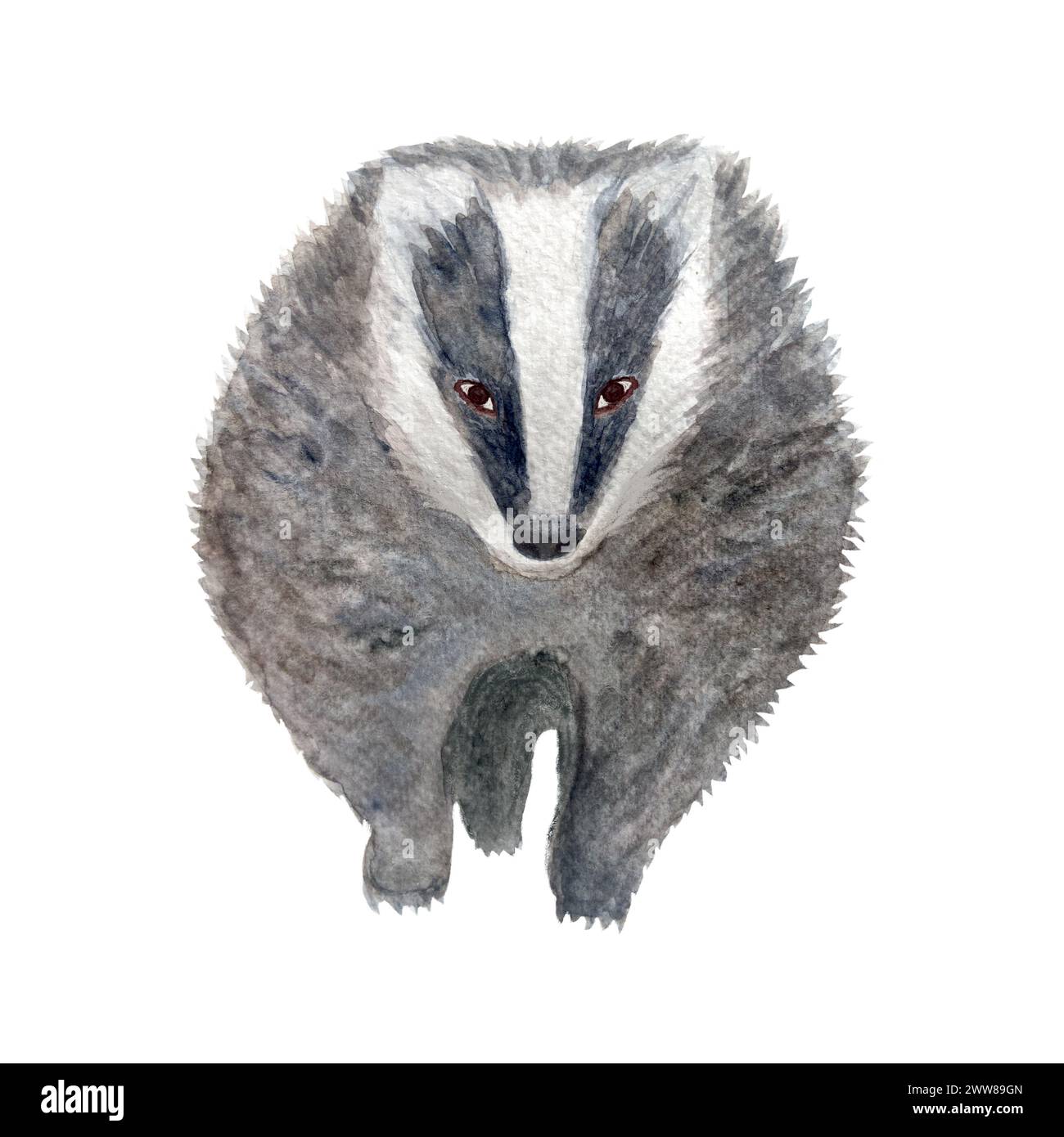 Badger-Aquarell-flache Illustration isoliert auf weiß Stockfoto