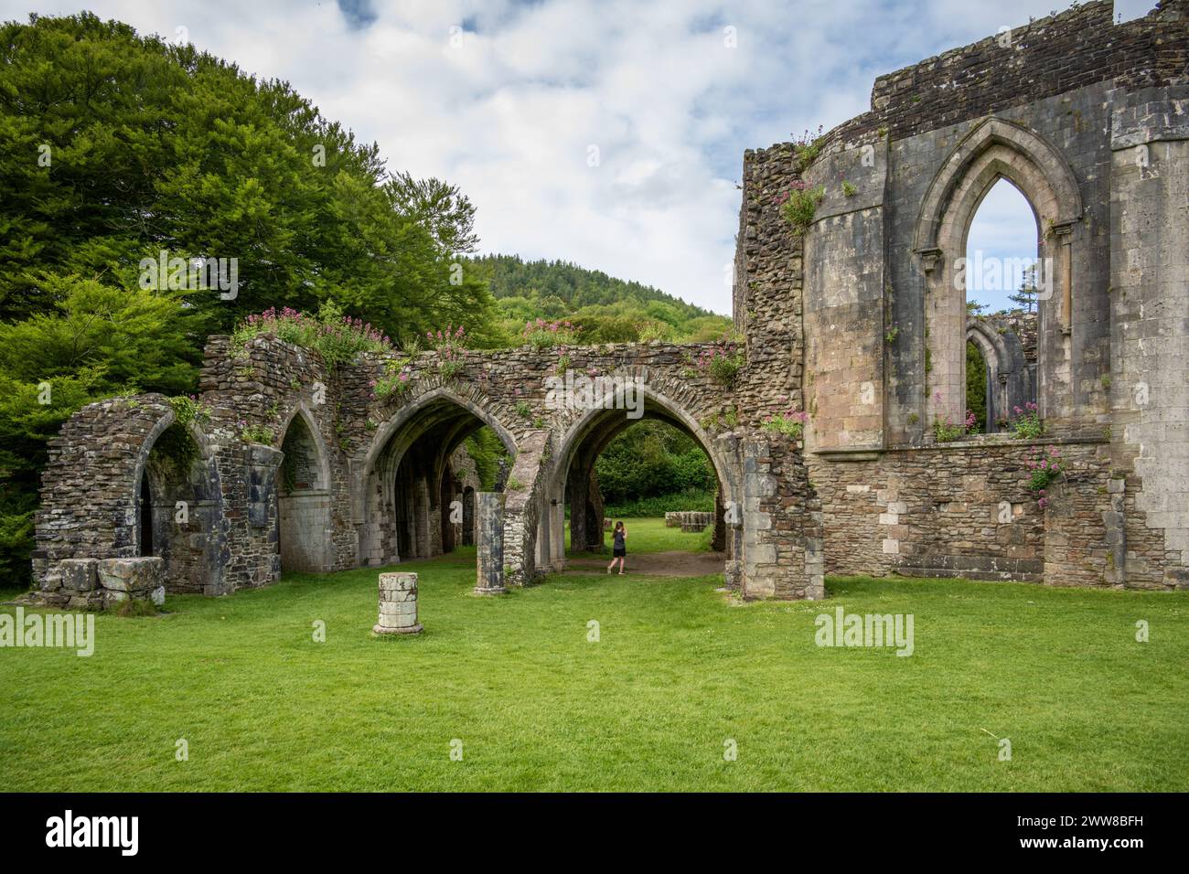 Abbey Ruins, Margam Country Park, Wales, Großbritannien Stockfoto
