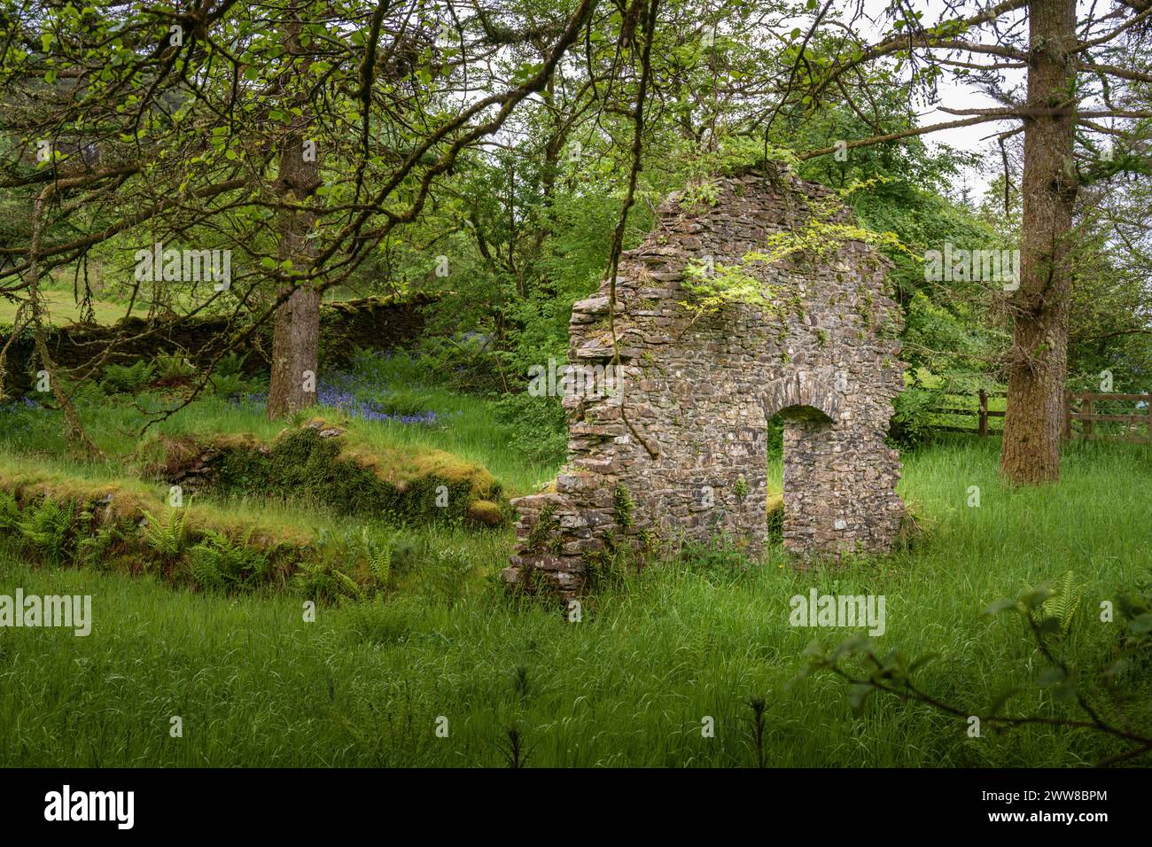 Gyfylchi Chapel, Afan Valley, Afan Forest Park, Wales, Großbritannien Stockfoto