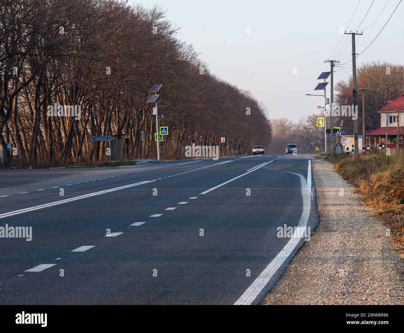 Straße gesäumt von Herbstbäumen. Kreuzende Straßenmarkierungen säumen die Mitte der Straße. Stockfoto