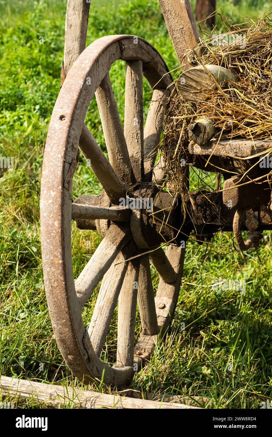 Altes Heuwagenrad im Gras. Stockfoto