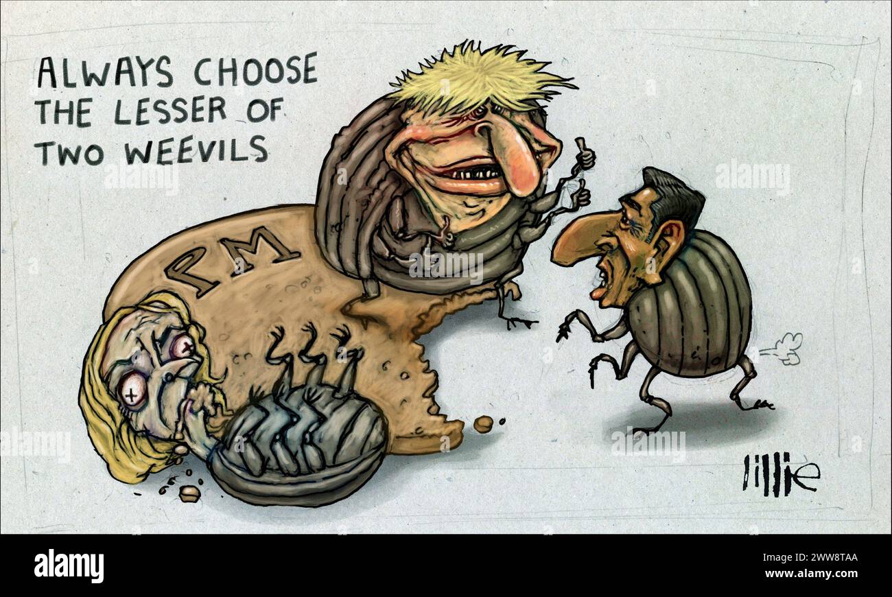 Cartoon-Abgeordneter Boris Johnson, britischer Premierminister Rishi Sunak, während Käfer um die Krümel Großbritanniens kämpfen, bevorstehende Wahlen, die Herausforderung der Boris-Führung zurückbringen Stockfoto