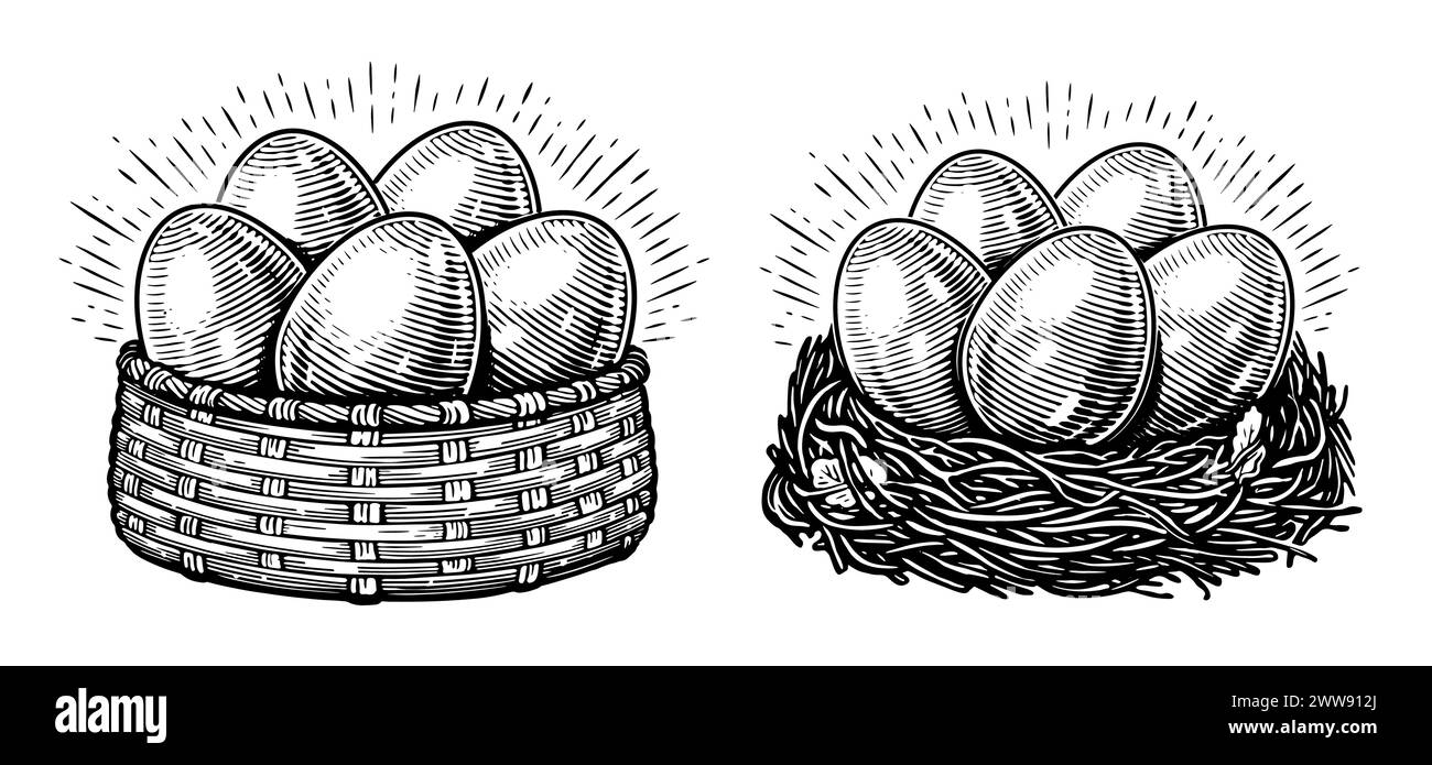 Skizze mit Hühnereiern. Bauernhof-Bio-Lebensmittel-Set. Handgezeichneter Illustrationsstil Stock Vektor