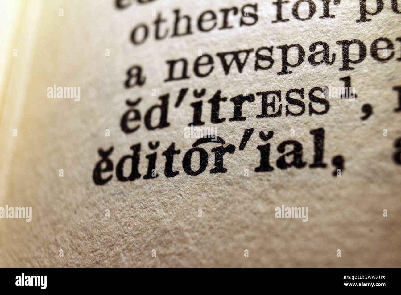 Word-Editorial auf Wörterbuchseite, Makronaht Stockfoto