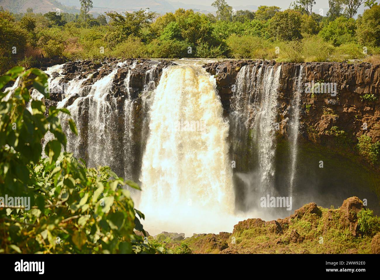 Die Blue Nil Falls sind Wasserfälle in Äthiopien. Sie sind im ersten Teil des Flusses, ab, bekannt als Tis Issat oder Tissisat Stockfoto