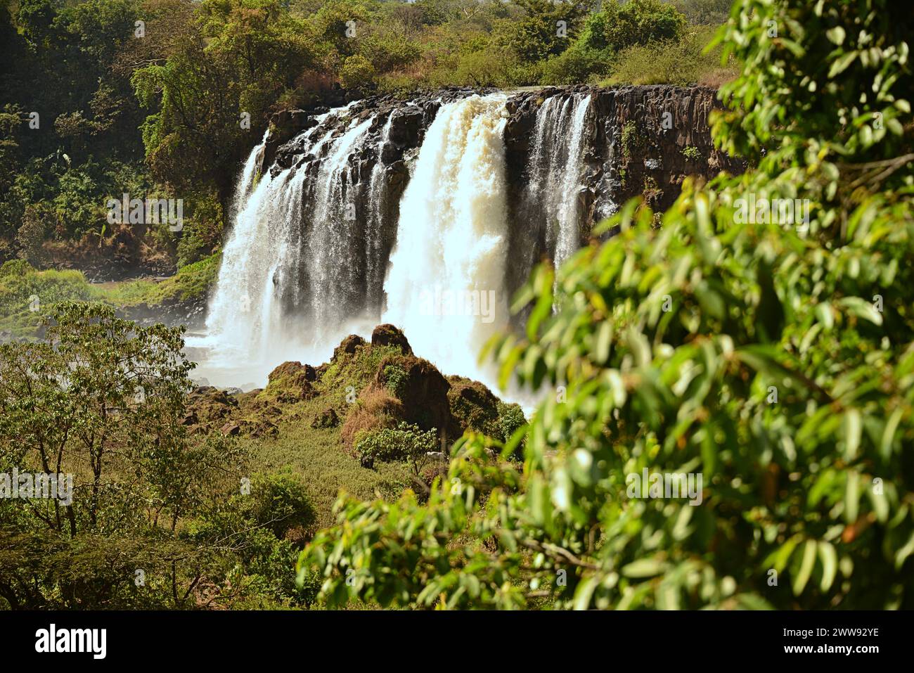 Die Blue Nil Falls sind Wasserfälle in Äthiopien. Sie sind im ersten Teil des Flusses, ab, bekannt als Tis Issat oder Tissisat Stockfoto