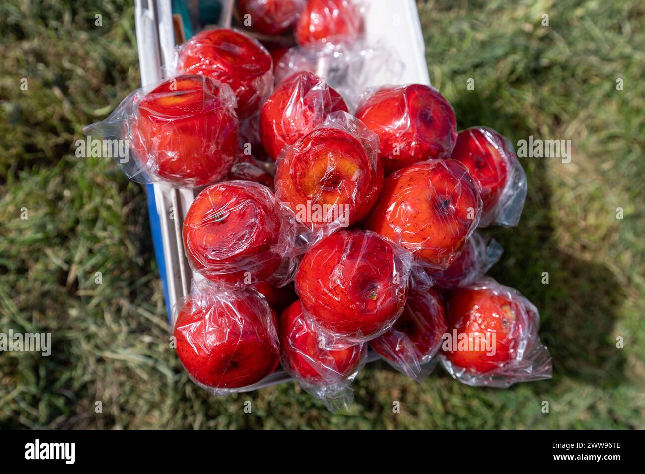 Schöne Erinnerungen. Rote Äpfel mit Zucker überzogen, in Folie verpackt. Süßes Kind von mir. Grasfläche. Stockfoto