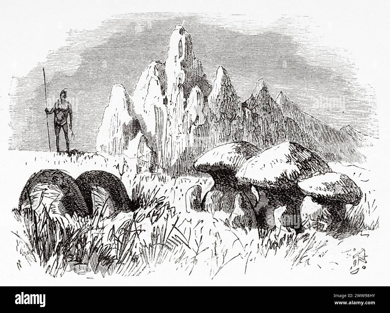 Termitenkonstruktionen, Tschad. Zentralafrika. Zeichnung von Ivan Pranishnikoff (1841 - 1909) Reise von Borno nach Baguirmi 1872 von Dr. Gustav Hermann Nachtigal (1834 - 1885) Le Tour du Monde 1880 Stockfoto