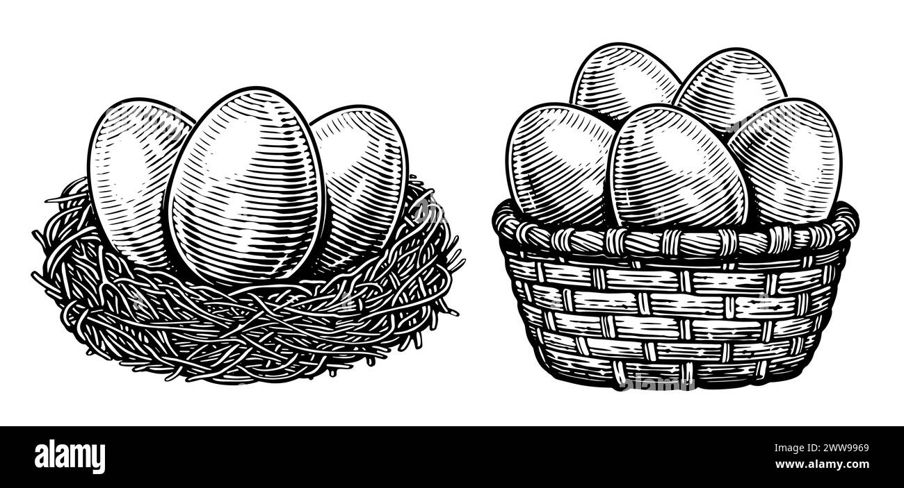 Eier vom Bauernhof. Hühnerfleisch aus biologischem Anbau. Handgezeichnete Illustrationsskizze Stock Vektor