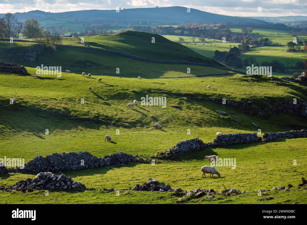 Typische White Peak Landschaft - Blick auf das Dove Valley mit Ecton Hill in der Entfernung von Reynards Lane, Hartington, Peak District, Derbyshire Stockfoto