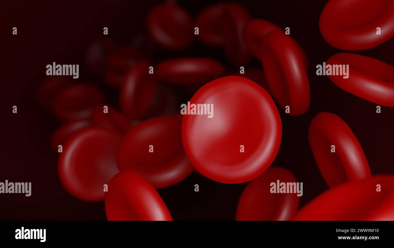 Rote Blutkörperchen. Erythrozyten. 3D Abbildung. Stockfoto