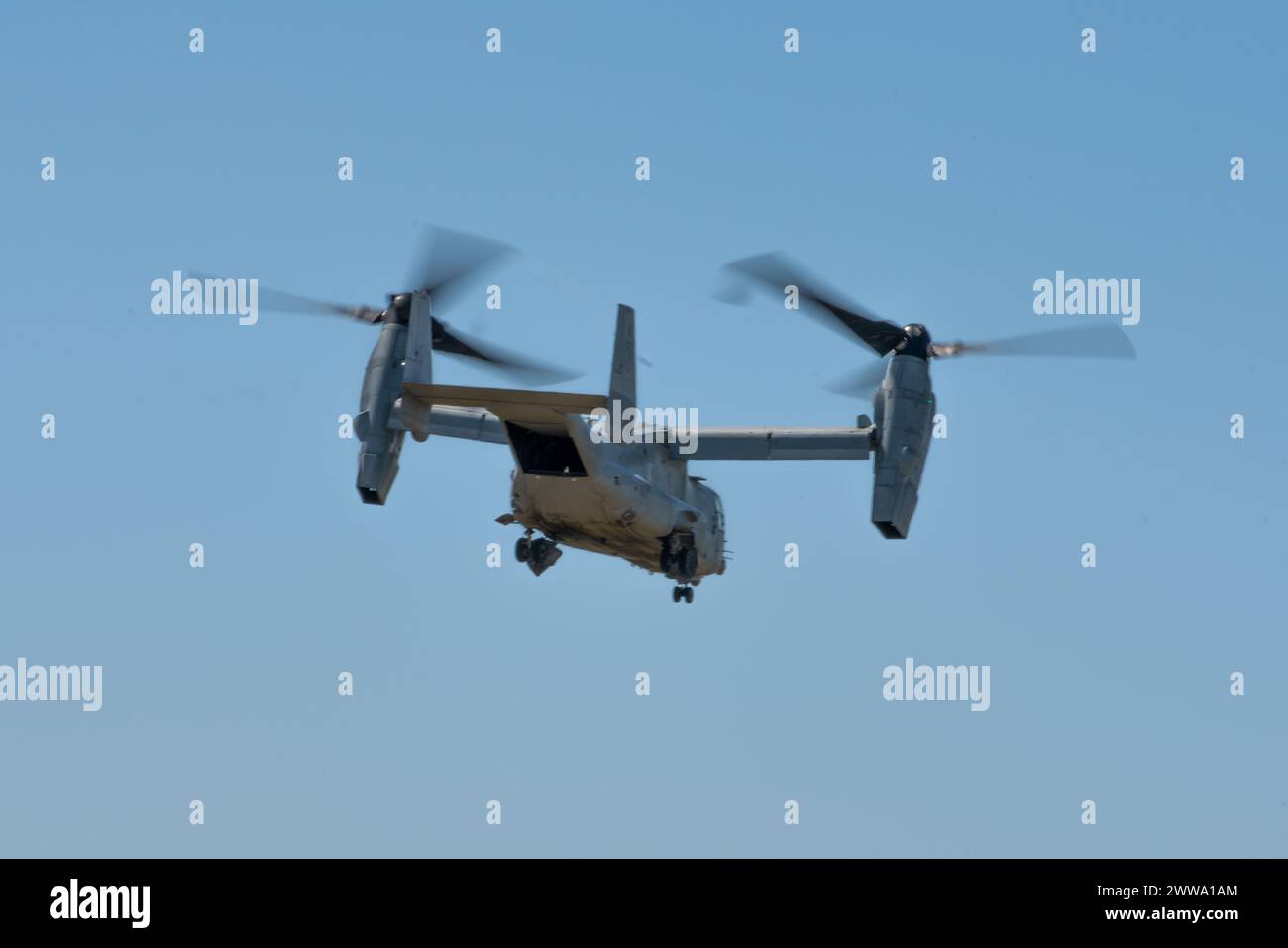 Ein U.S. Marine Corps MV-22B Osprey, das der Marine Medium Tiltrotor Squadron (VMM) 165 (verstärkt), 15. Marine Expeditionary Unit, angegliedert ist, startet am 20. März 2024 von der Marine Corps Air Station Miramar, Kalifornien. Das Marine Corps gab seine MV-22, einschließlich der 15. MEU, am 8. März 2024 in den Flugstatus zurück, nachdem das Naval Air Systems Command angekündigt hatte, dass das Flugzeug für sicher zu fliegen war. Der dreiphasige Ansatz des Marine Corps beginnt mit einem Schwerpunkt auf der Wiedererlangung der grundlegenden Flugwährung, dem Wiederaufbau der Instruktorkader und der Erlangung von Kenntnissen im Kern- und Grundfähigkeitstraining für Piloten Stockfoto