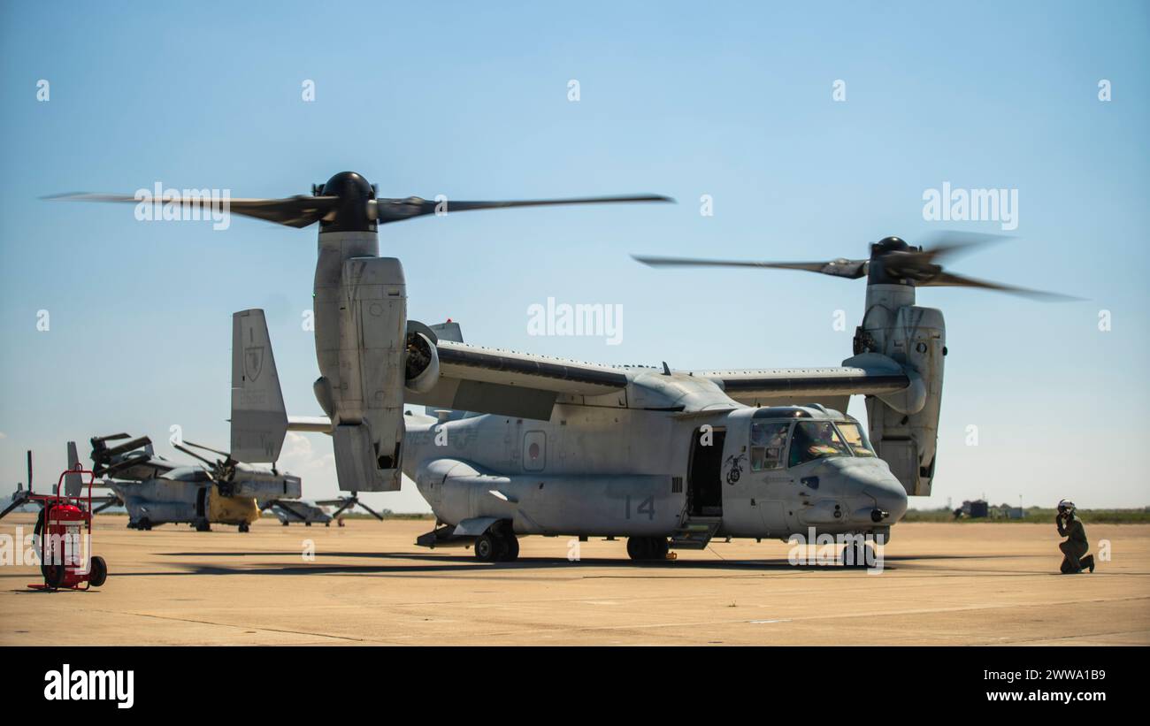 US-Marines, die der Marine Medium Tiltrotor Squadron (VMM) 165 (verstärkt), 15. Marine Expeditionary Unit, zugewiesen sind, führen am 20. März 2024 Vorflugkontrollen in einem MV-22B Osprey auf der Marine Corps Air Station Miramar, Kalifornien durch. Das Marine Corps gab seine MV-22, einschließlich der 15. MEU, am 8. März 2024 in den Flugstatus zurück, nachdem das Naval Air Systems Command angekündigt hatte, dass das Flugzeug für sicher zu fliegen war. Der dreiphasige Ansatz des Marine Corps beginnt mit einem Schwerpunkt auf der Wiedererlangung der Grundwährung, dem Wiederaufbau der Instruktorkader und dem Erlangen von Kenntnissen im Kern- und Grundfähigkeitstraining Stockfoto