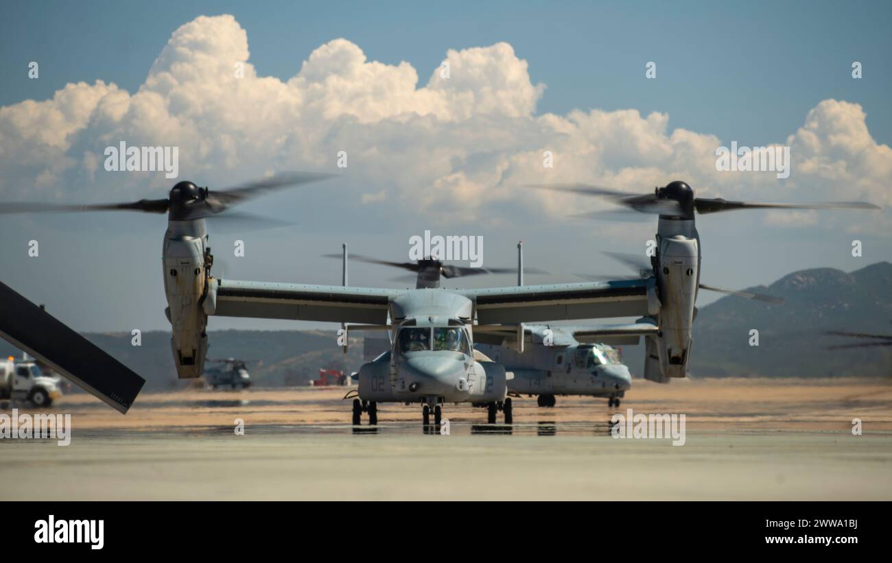Ein U.S. Marine Corps MV-22B Osprey, der der Marine Medium Tiltrotor Squadron (VMM) 165 (verstärkt), 15. Marine Expeditionary Unit, Taxis vor dem Flug auf der Marine Corps Air Station Miramar, Kalifornien, 20. März 2024. Das Marine Corps gab seine MV-22, einschließlich der 15. MEU, am 8. März 2024 in den Flugstatus zurück, nachdem das Naval Air Systems Command angekündigt hatte, dass das Flugzeug für sicher zu fliegen war. Der dreiphasige Ansatz des Marine Corps beginnt mit einem Schwerpunkt auf der Wiedererlangung der Grundwährung, dem Wiederaufbau der Instruktorkader und dem Erlangen von Kenntnissen im Kern- und Grundfähigkeitstraining Stockfoto