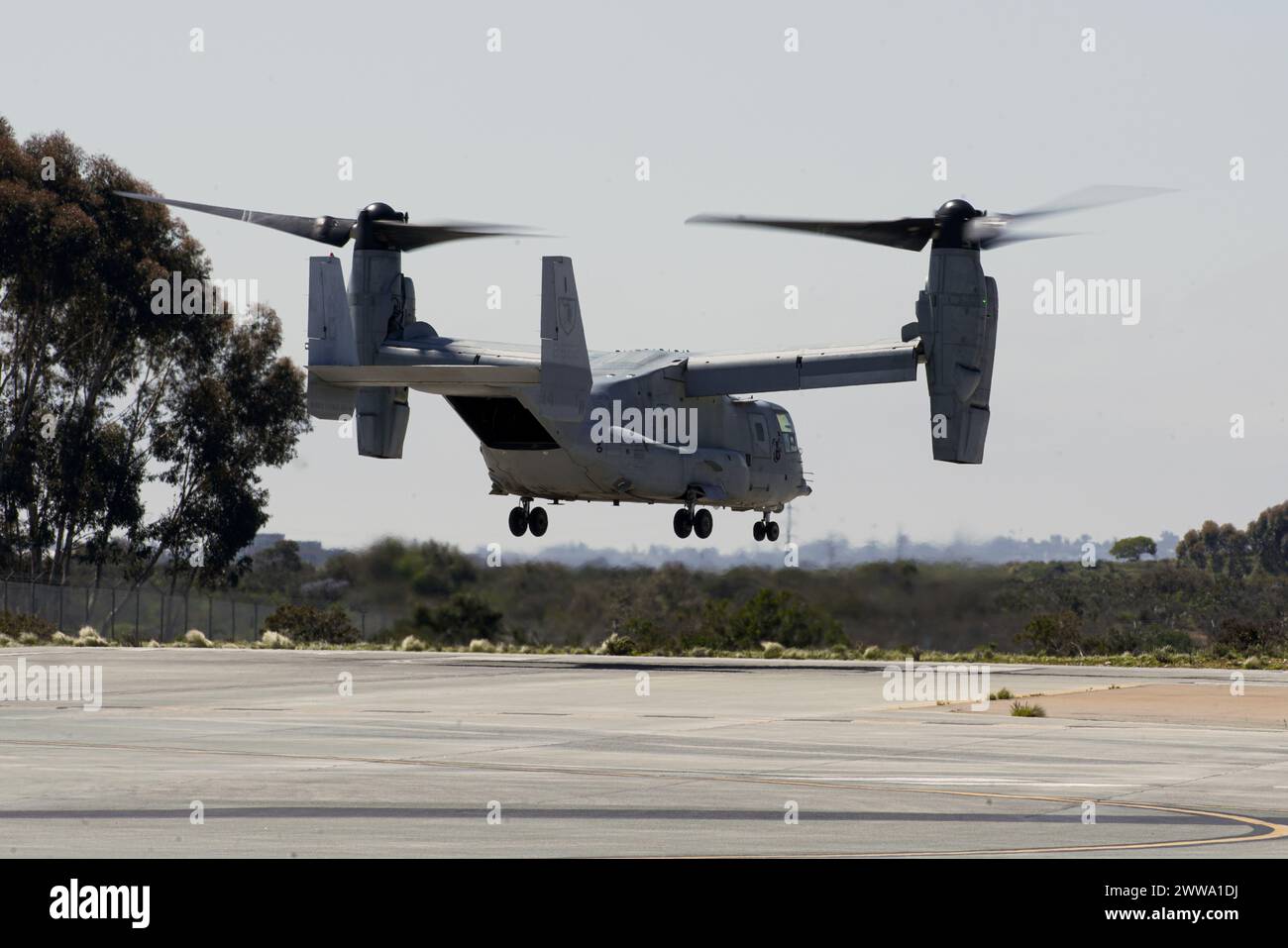 Ein U.S. Marine Corps MV-22B Osprey, das der Marine Medium Tiltrotor Squadron (VMM) 165 (verstärkt), 15. Marine Expeditionary Unit, angegliedert ist, startet am 20. März 2024 von der Marine Corps Air Station Miramar, Kalifornien. Das Marine Corps gab seine MV-22, einschließlich der 15. MEU, am 8. März 2024 in den Flugstatus zurück, nachdem das Naval Air Systems Command angekündigt hatte, dass das Flugzeug für sicher zu fliegen war. Der dreiphasige Ansatz des Marine Corps beginnt mit einem Schwerpunkt auf der Wiedererlangung der grundlegenden Flugwährung, dem Wiederaufbau der Instruktorkader und der Erlangung von Kenntnissen im Kern- und Grundfähigkeitstraining für Piloten Stockfoto