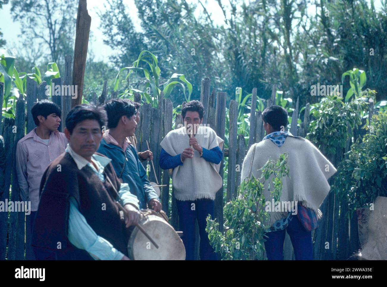 Tzotzil Maya-Indianer aus Chamula spielen traditionelle Musik auf traditionellen Instrumenten bei einem fest im Dorf San Juan Chamula Maya im zentralen Hochland von Chiapas im Süden Mexikos am 5. Dezember 1976. Stockfoto