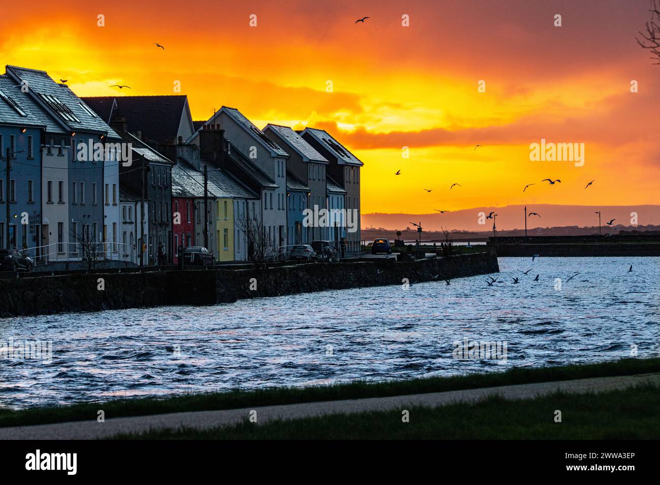 Sonnenaufgang über Claddagh und langer Spaziergang mit Vögeln Stockfoto