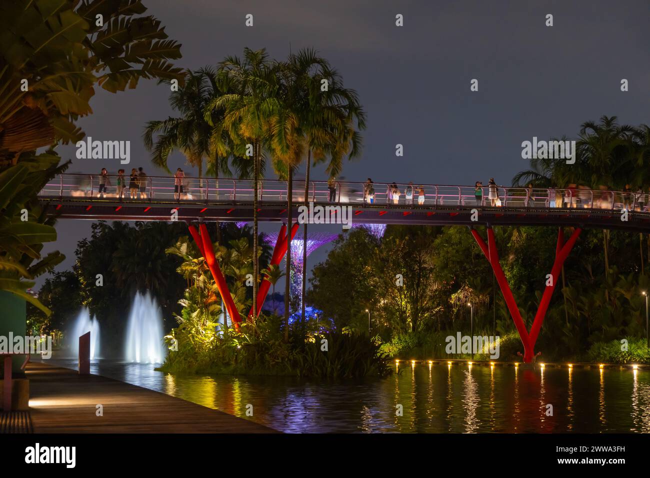 Dragonfly Lake Bridge Singapur bei Nacht Stockfoto