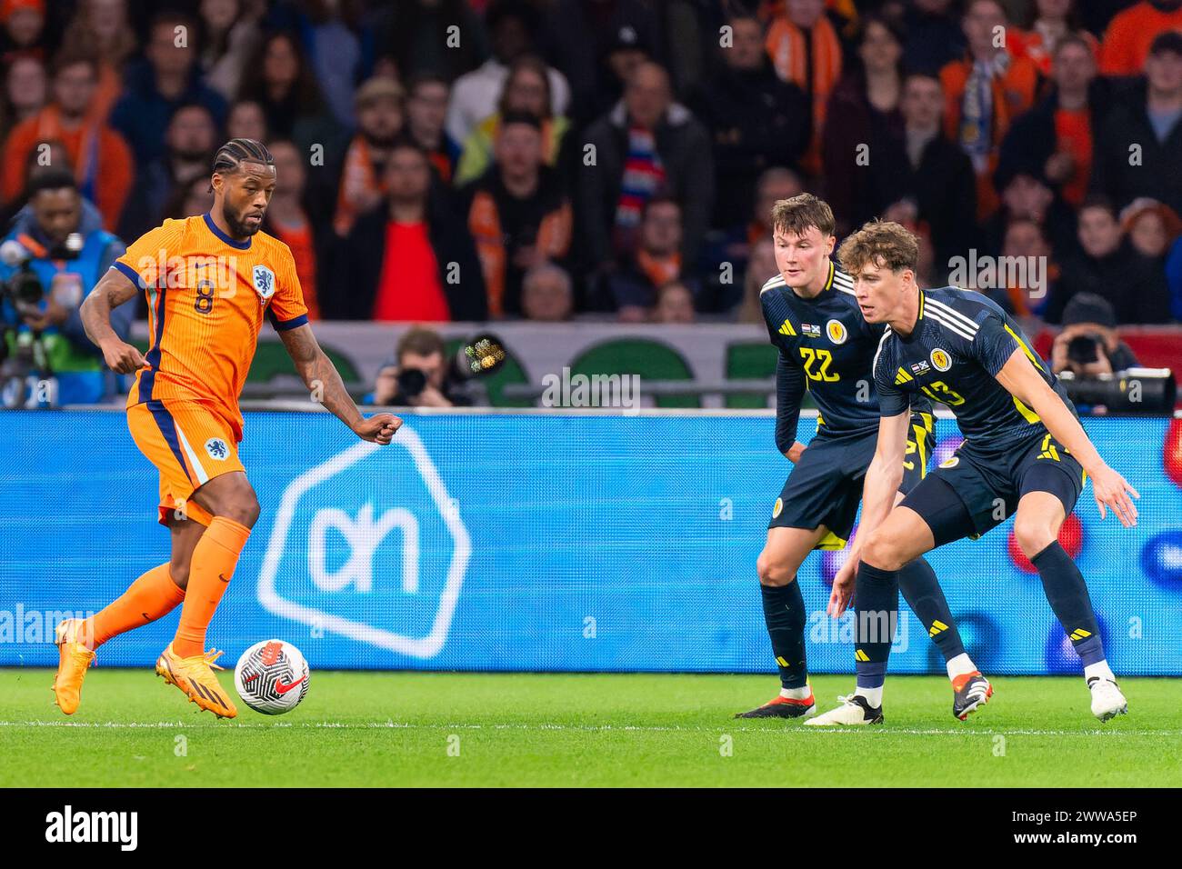 Amsterdam, Niederlande. März 2024. AMSTERDAM, NIEDERLANDE - 22. MÄRZ: Georginio Wijnaldum aus den Niederlanden kämpft um den Ball mit Nathan Patterson aus Schottland und Jack Hendry aus Schottland während des Internationalen Freundschaftsspiels zwischen den Niederlanden und Schottland in der Johan Cruijff Arena am 22. März 2024 in Amsterdam. (Foto: Joris Verwijst/BSR Agency) Credit: BSR Agency/Alamy Live News Stockfoto